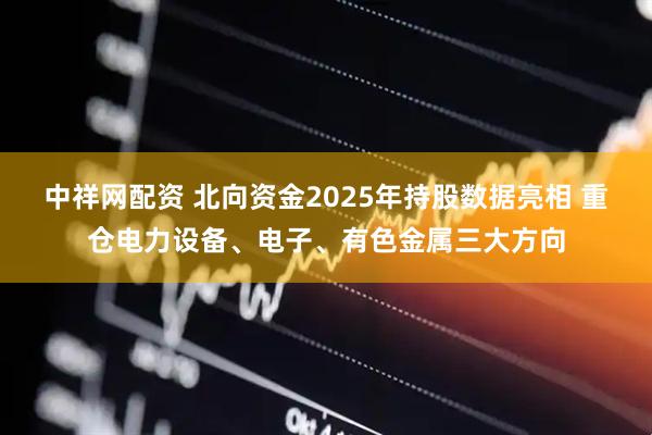 中祥网配资 北向资金2025年持股数据亮相 重仓电力设备、电子、有色金属三大方向